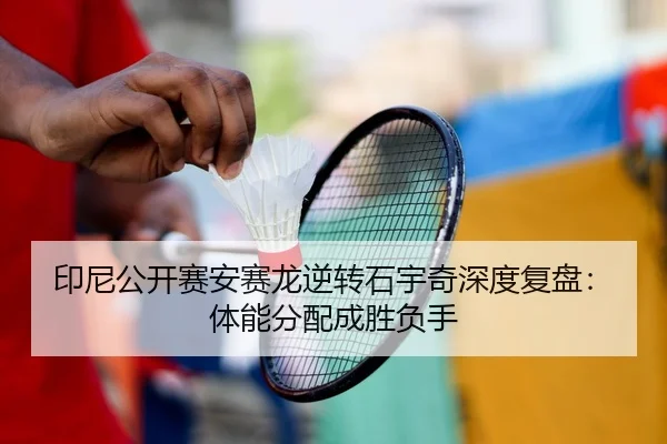 yin-ni-gong-kai-sai-an-sai-long-ni-zhuan-shi-yu-qi-shen-du-fu-pan-ti-neng-fen-pei-cheng-sheng-fu-shou-2-290.jpg